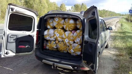 Перевозка грузов