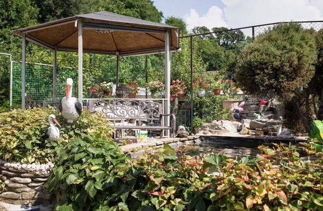 Дом 20 м² на участке 11 сот.