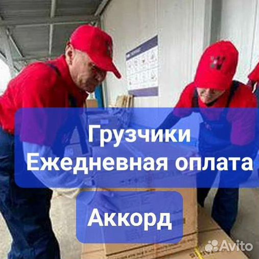 Авито с ежедневной оплатой