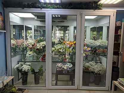 Холодильники для цветов купить в спб заказать гвоздики с доставкой в москве