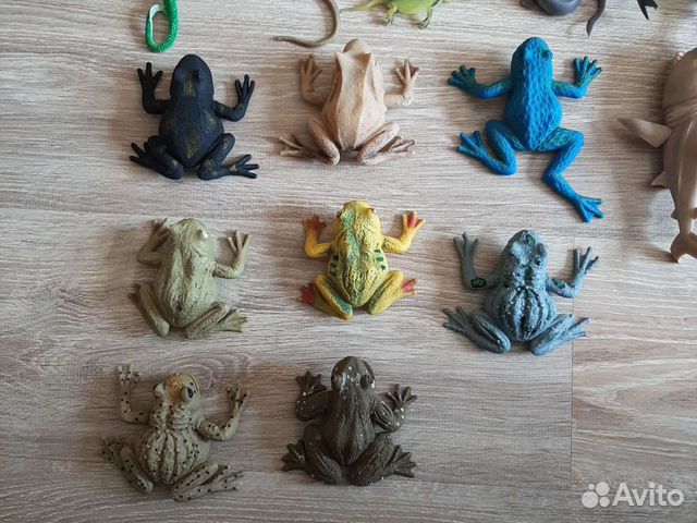 Коллекции лягушек, акул, геконов