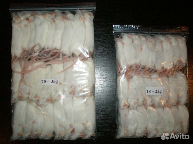 Мыши замороженные (Кормовые)