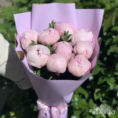 Пионы 9 15 25 51 101 пион с доставкой Букеты Цветы