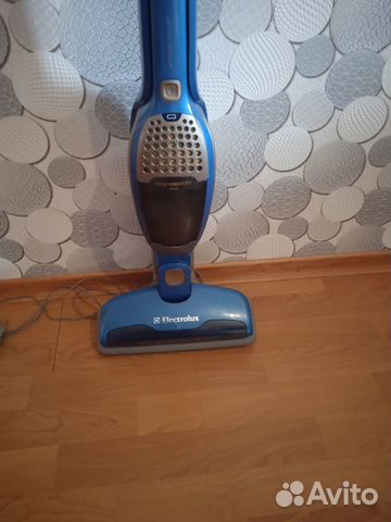 Пылесос Electrolux Ergorapido plus