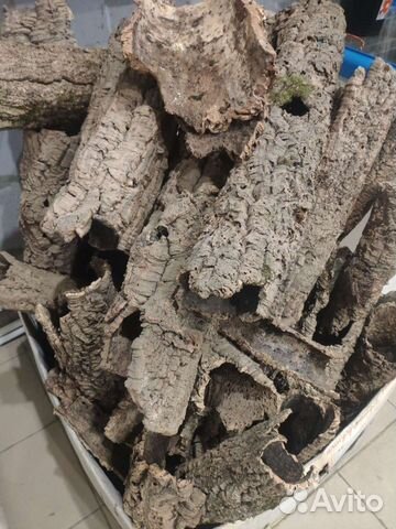 Кора пробковый дуб