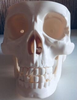 Коллекция Тело человека с детского журнала