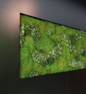 Фитокартина Панно из мха мох стабилизированный