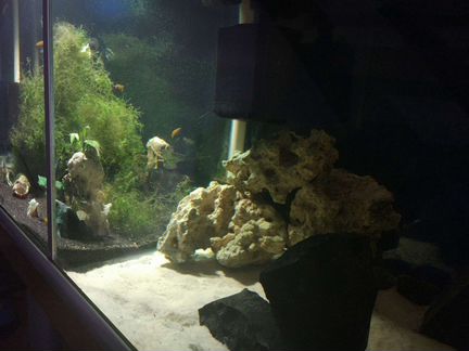 Большой аквариум с оборудованием