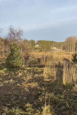 Участок 19 сот. (СНТ, ДНП)