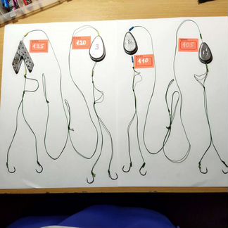 Снасть на сазана