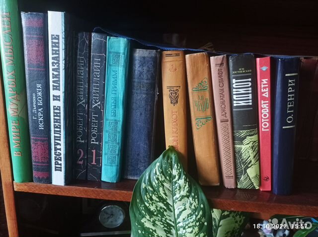 Домашняя библиотека