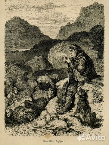 Старинная гравюра 1878 г. Шотландия собака антик