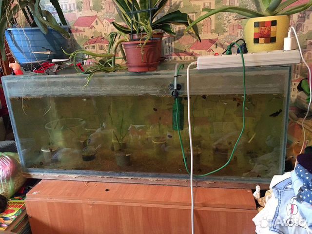 Аквариум с рыбками 100 л