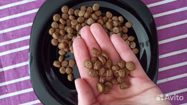 Сухой корм Променад для кошек весом