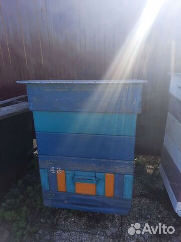 Улей для пчел