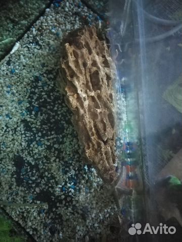 Продам грот, коралл, камушки в аквариум
