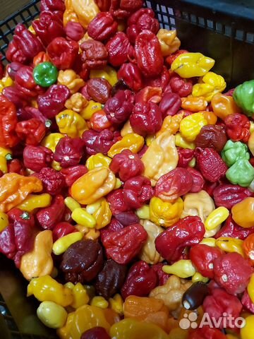 Семена супер острых перцев