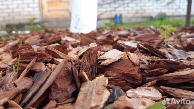 Кора мульча лиственницы и сосны