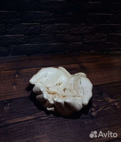 Изделия из гипса / Кашпо руки Давида