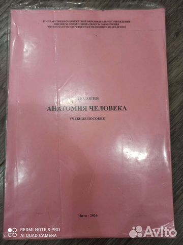 Биология Анатомия человека