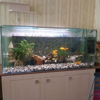Аквариум 600 литров