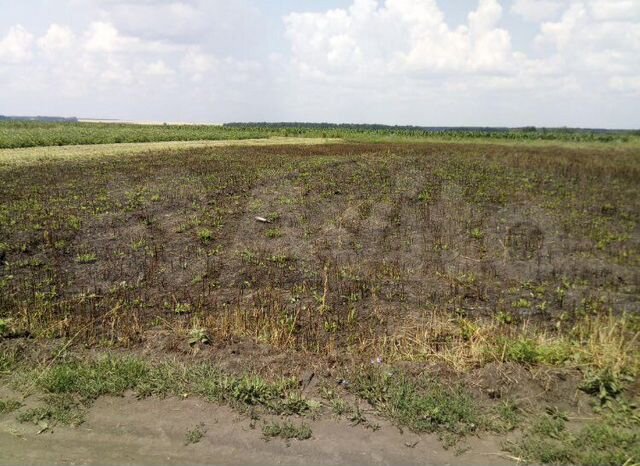 Участок 15 сот. (ИЖС)