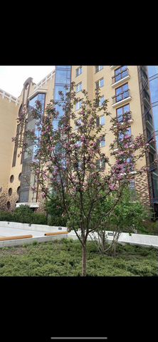 2-к. квартира, 116 м², 2/9 эт.