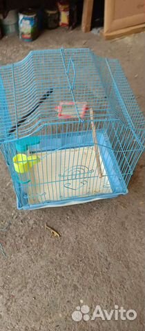 Клетка для попугая или грызуна