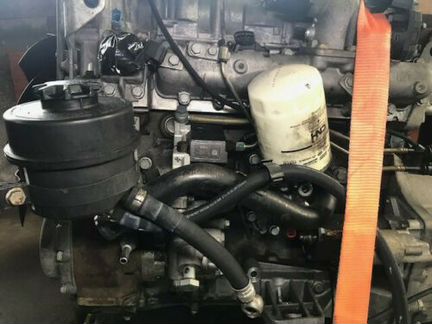Контрактный двигатель 3.0 F1CE0481 Iveco Daily