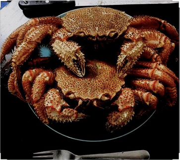 Краб волосатик