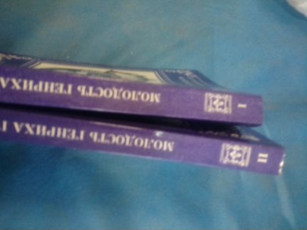Молодость Генриха IV