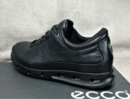 Ecco cool