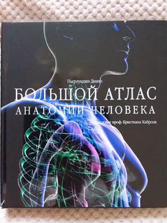 Большой атлас анатомии человека