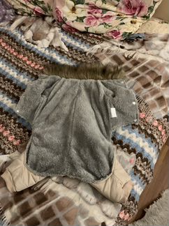 Одежда для собак