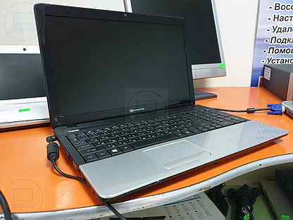Ноутбук Packard Bell Easynote Te11hc Цена
