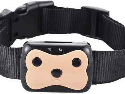 Gps трекер для собак и кошек. Hadog 03. Ошейник pet gps-трекер. Gps ошейник для животных. Ошейник для собак с gps трекером.