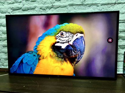 Premium LG 55 4K UHD HDR10 smart TV wifi