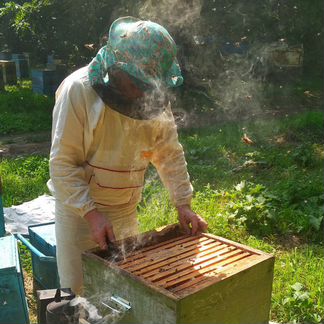 Натуральный липовый мёд 3л с доставкой