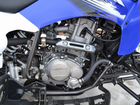 Квадроцикл Motoland 250S объявление продам