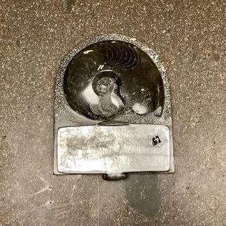 Непонятно что с аммонитом