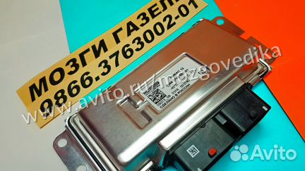 Эбу Мозги на газ Микас 12 9866.3763002-01 газ