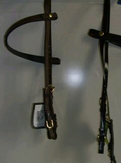 Для конных пробегов