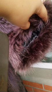 Шикарная новая шуба из енота 58-60