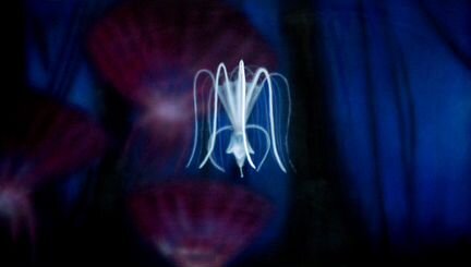 Арт-дизайн помещений