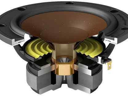 ������ ���������