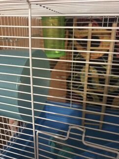 Клетка для хомяков, крыс и других грызунов