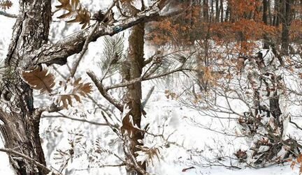 Камуфляжный костюм (биондвижон тундра)