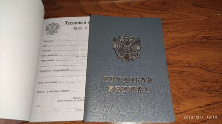 Трудовая книжка тк3