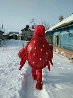 Краб Себастьян