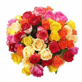 Роза Микс 70 см